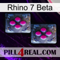 Rhino 7 Beta 01